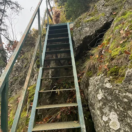 Hrach A Lusk Chalet